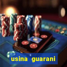 usina guarani tereos tanabi